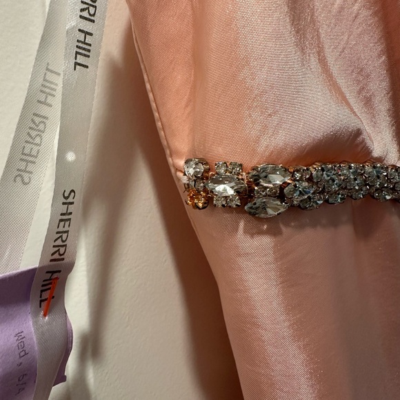Sherri Hill Blush Gown with Crystal Embellishments - Picture 3 of 9